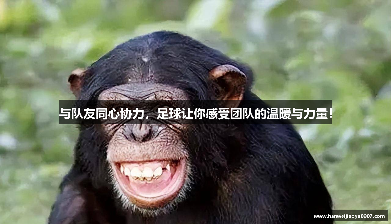 熊猫体育